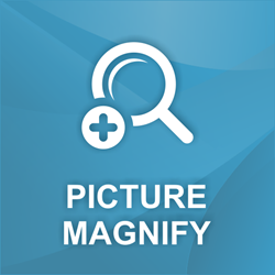 Picture of nopComerce Product Picture Magnify